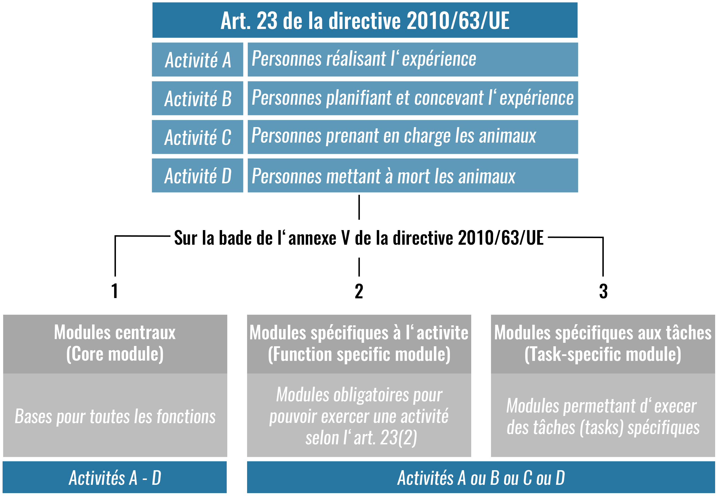 Tätigkeiten nach Art. 23 EU Richtlinie (FR)